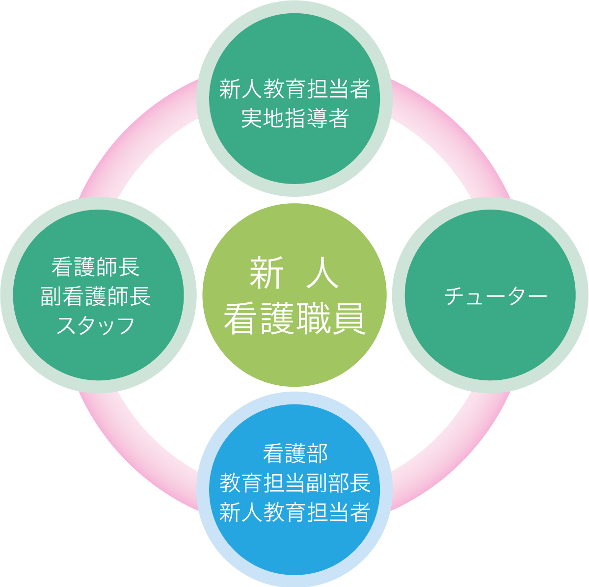 新人教育