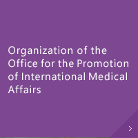 Organization of the Office for the Promotion of International Medical Affairs