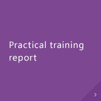 Practical training report