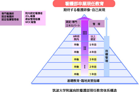 看護部現任教育体系構造