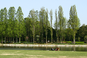 公園