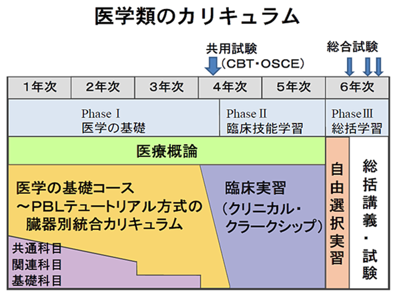 医学類のカリキュラム