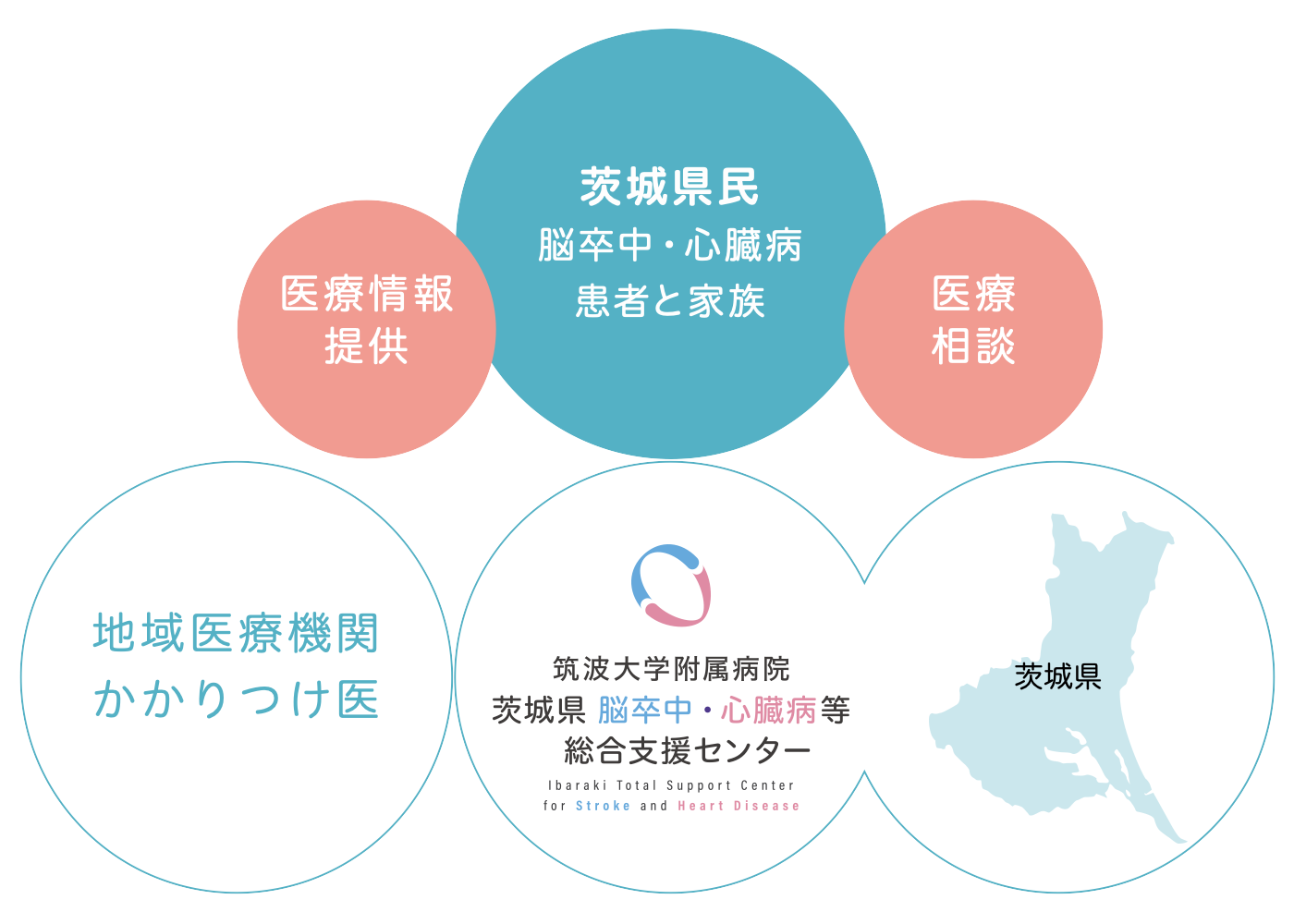 循環器病対策を効率的に普及促進するネットワークの中心窓口になります