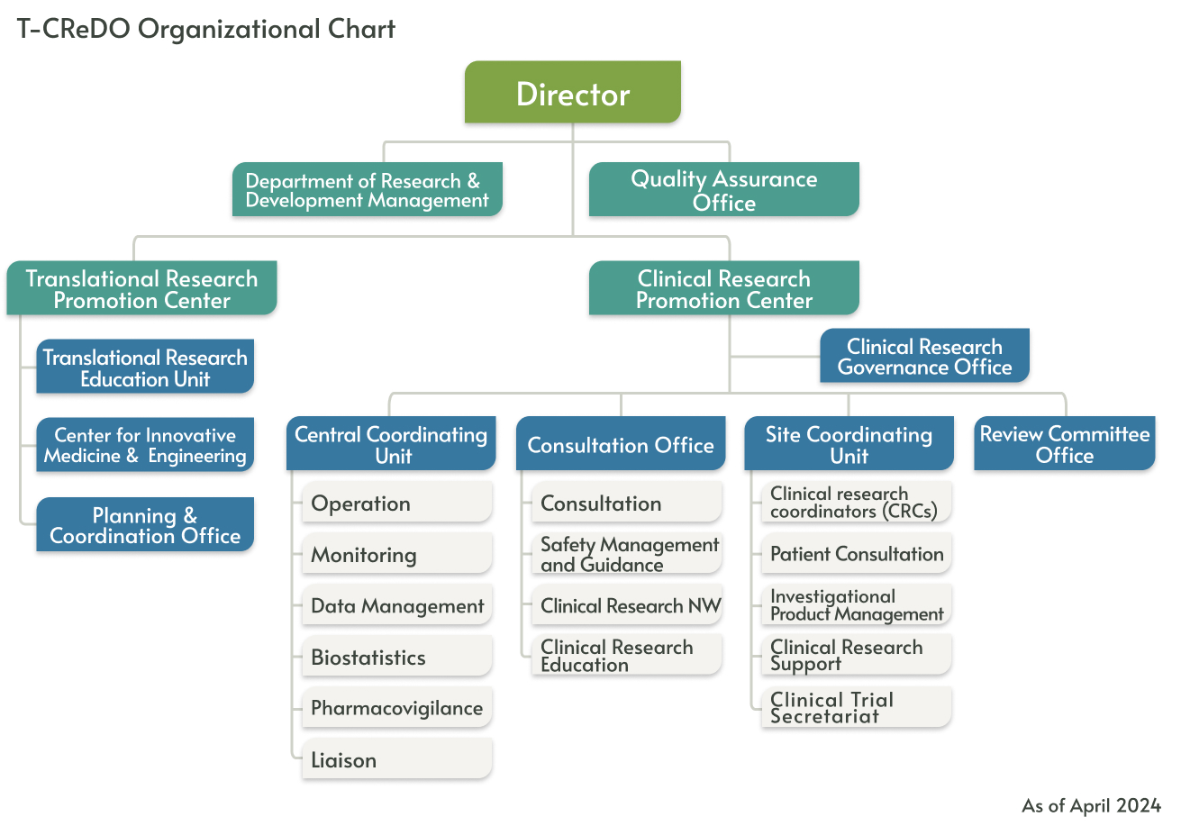 T-CReDO organization chart