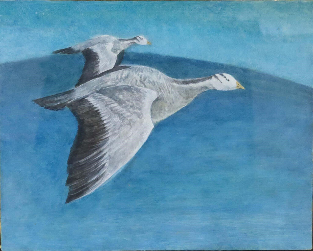 EERDUNMENGKE《渡り鳥》