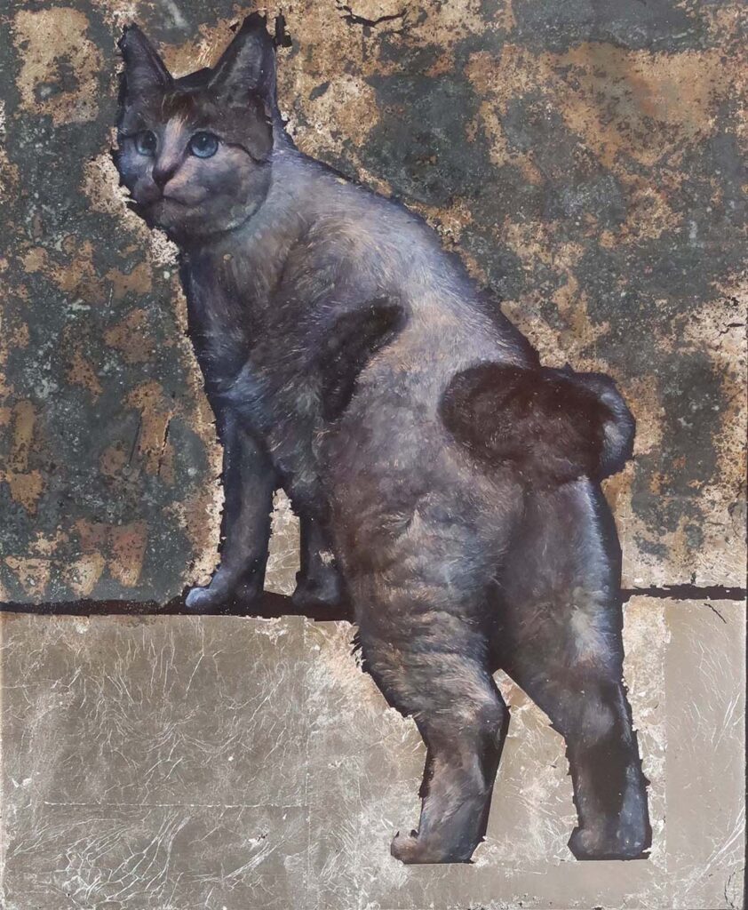 森山涼子《子猫》