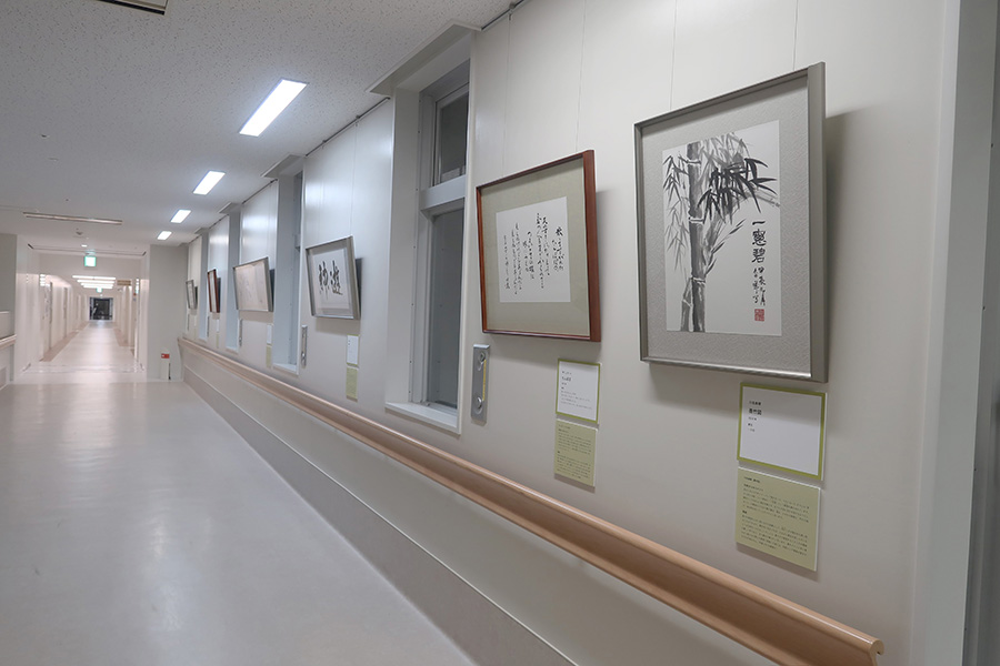 展示全体の写真