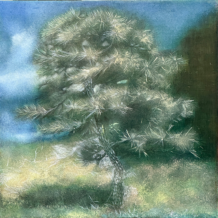 野田　将太《約束》