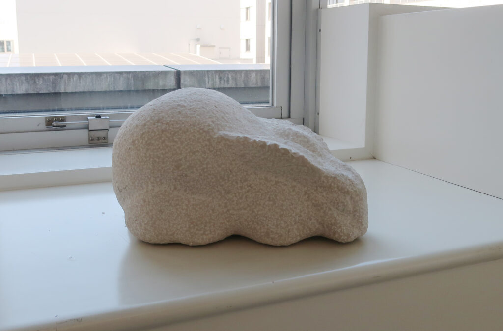 須惠 三樹《もちうさぎ》の写真