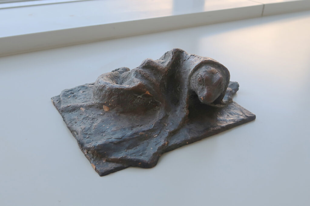 中村 日香《トカゲモドキ》の写真