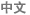 中文