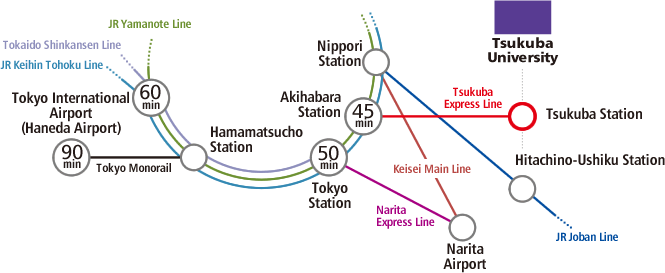 by train