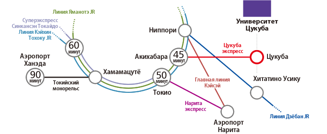 Проезд на общественном транспорте